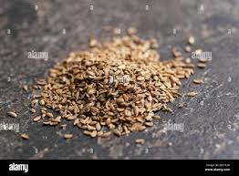 Attēlu rezultāti vaicājumam “Daucus carota subsp. carota”