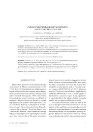 Attēlu rezultāti vaicājumam “Paradiacheopsis rigida stalked”