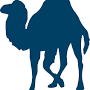 Perl logo from dev.to