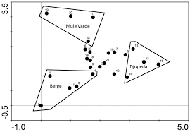 Attēlu rezultāti vaicājumam “Blepharidopterus angulatus imago”