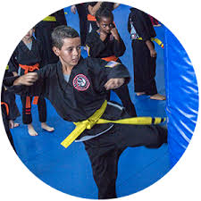 Image result for Elite Force Martial Arts