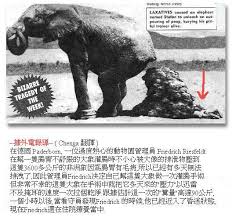 http://t0.gstatic.com/images?q=tbn:ANd9GcRyWCLUfYJdWA9trKrKi93li5tjdGBtqBEwqycVvE8tvoX1oUw&t=1&usg=__GeA90x8Em8l_GrazWncYSszZLx0=