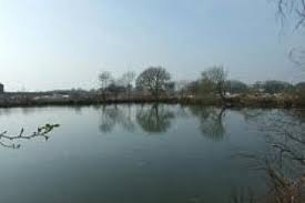 Image result for Vauxhall Angling Club
