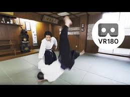 Image result for Ryuko Dojo