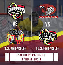 Image result for Cwmbran Hockey Club