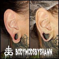 Image result for ear mod