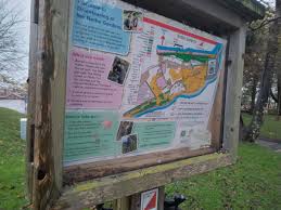 Image result for Wessex Orienteering Club