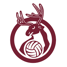 Image result for Southampton University Tchoukball Club