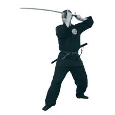 Image result for Central London Ninjutsu