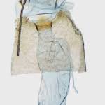 Attēlu rezultāti vaicājumam “Epermenia falciformis”