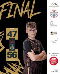 Image result for Spen Valley Vipers