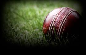Image result for Sibton Park Cricket Club