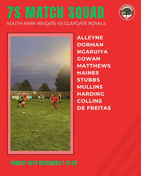 Image result for Claygate Royals Football Club