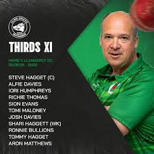 Image result for Ammanford Cricket Club