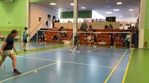 Image result for Marske Jnr Badminton Club