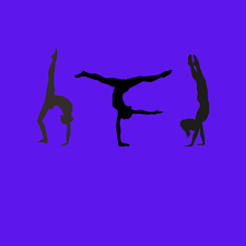 Image result for Carterton Gymnastics Club