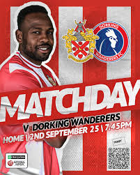Image result for Dorking Wanderers F C