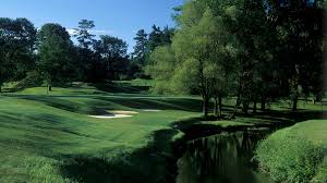 Image result for Rosedale Old Cestrians Sports Club