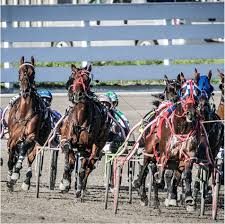 Image result for Meadows Sports Association