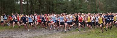 Image result for Farnham Triathlon Club