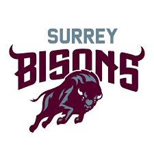 Image result for Surrey Quays Touch Rugby