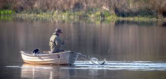 Image result for Byfleet Angling Club