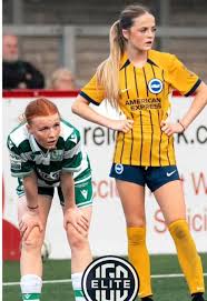 Image result for Bridgwater & Albion RFC