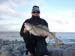 Image result for Bristol Channel Sea Fishing