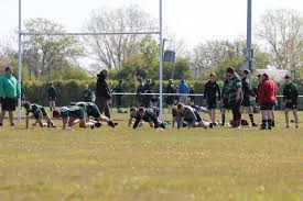 Image result for St Mary's Old Boys Rugby Union Football Club