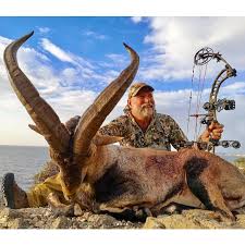 Image result for Fleet Ibex Field Archery Club