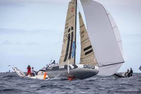 Image result for Pogo minitransat