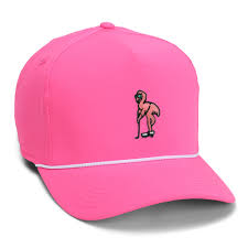 Image result for Flamingo Cricket Club