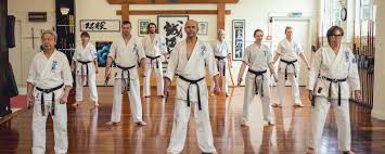 Image result for Aylesbury Vale Seido Karate