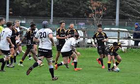 Image result for Devizes Rugby Football Club