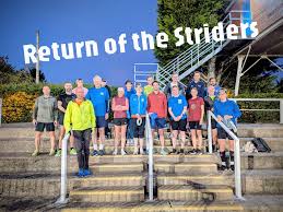 Image result for Shelton Striders
