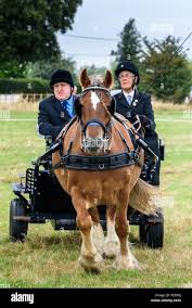 Image result for Hellingly Badminton Club