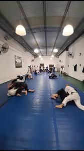 Image result for Mushin Kempo Jiu Jitsu Club