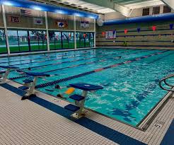 Image result for Sharks Swimming Club Of Mottingham