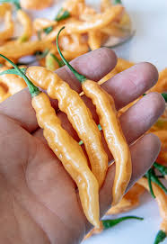 Afbeeldingsresultaat voor peach habanero hot pepper