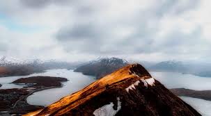 Image result for Thaddus Haenke