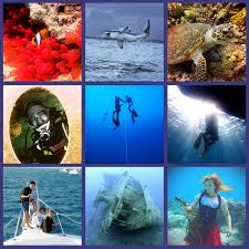 Image result for Leicester Underwater Exploration Club