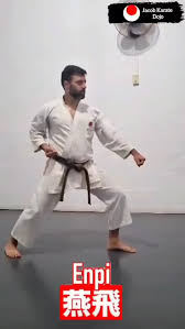 Image result for enpi dojo