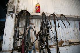 Image result for Old Park Riding Stables