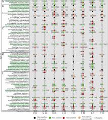 Attēlu rezultāti vaicājumam “Athous sp.”