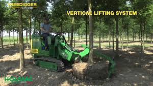 Image result for holmac tehron