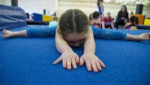 Image result for Phoenix Gymnastics