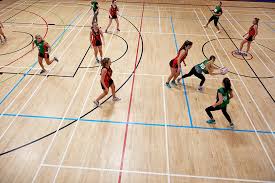 Image result for Sports Centre Netball