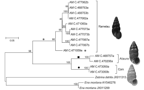 Attēlu rezultāti vaicājumam “Ena montana”