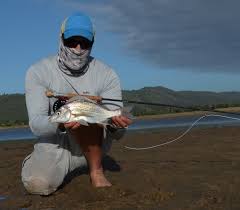 Image result for Pomadasys commersonnii