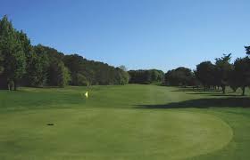 Image result for Brentwood Scrabble Club